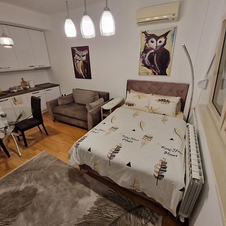 Owl Apartment Beograd Bagian luar foto